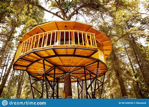 Low Angle Shot Of Cozy Wooden Round House Build On Green Trees In
