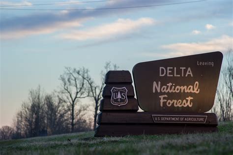 Delta National Forest — Mississippi Delta Top 40