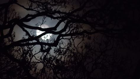 Spooky Night Stock Footage Video Shutterstock