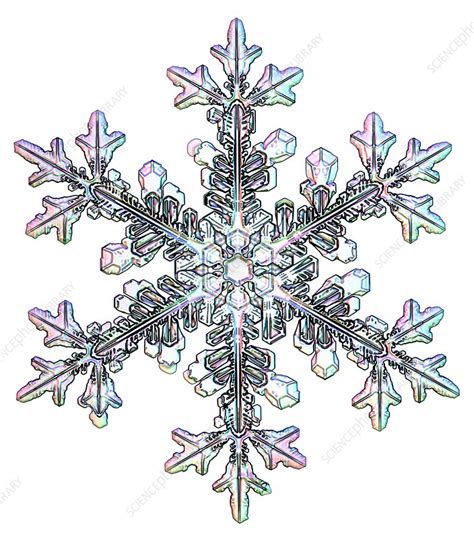 Snowflake Light Micrograph Stock Image C0232420 Science Photo