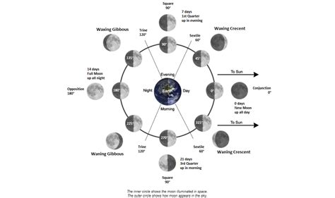 Time Price Research The Lunar Cycle Carol S Mull