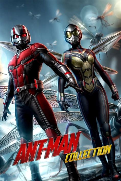 Ant Man Collection — The Movie Database Tmdb