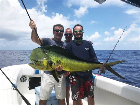 Deep Sea Fishing In Miami All You Need To Know Gary Spivack