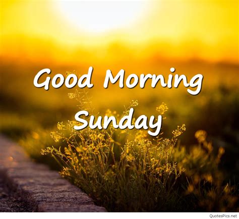 Download Sunday Morning Wallpaper Bhmpics