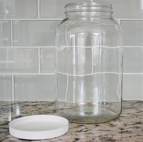 4 Pack Gallon Glass Jars With Bpa Free Plastic Lids Kombucha Etsy