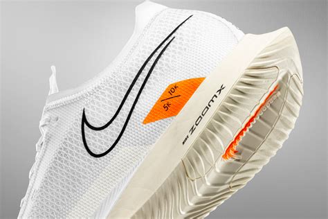Nike Running Shoe 2022