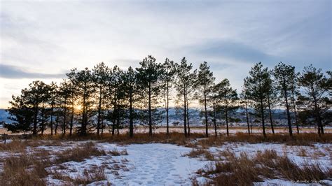 The Light Of Sunset Monte Stevens Photography Blog