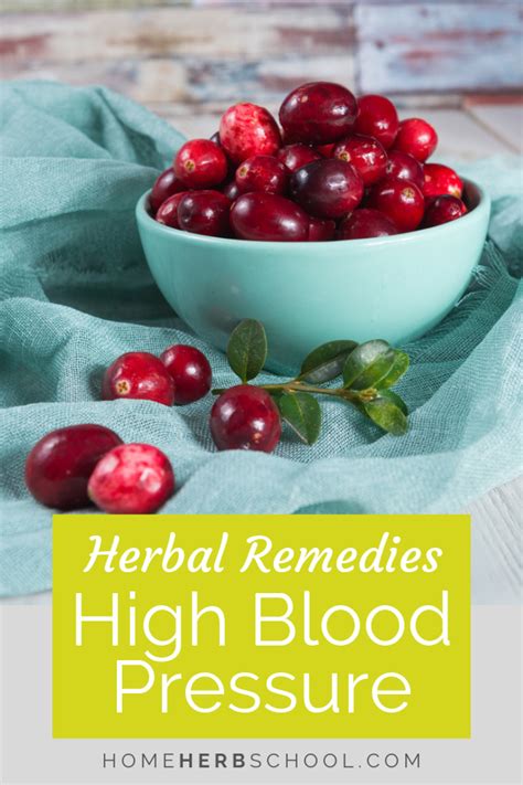 Herbal Remedies For High Blood Pressure Home Herb School