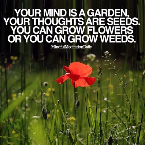 🧘🏽‍♀️your Mind Is A Garden Your Thoughts Are Seeds You Can Grow