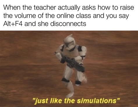 Just Like The Simulations R Memes