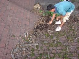 The dripping, wet result of a roof leak is obvious, but finding the actual location of a leak can be a challenge. Repairing a Roof Valley Leak - Roofer911.com