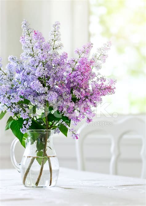 Bunch Lilac Flowers In Vase On Table Stock Photo Royalty Free