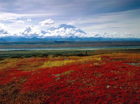 National Alaska Hd 720p Denali Brilliant Park Colors Landscape