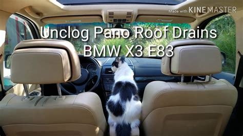 Pano Sunroof Drains Unclogged Bmw Youtube