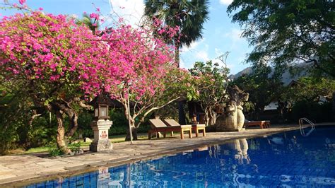 Pool Hotel Matahari Beach Resort And Spa Pemuteran • Holidaycheck Bali Indonesien