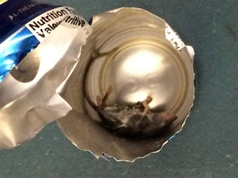 Bc Man Claims He Found Decomposing Mouse In Can Of Energy Drink Cbc News