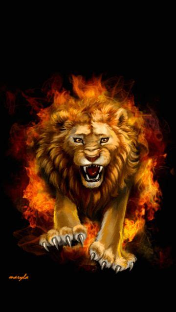 Lions With Fire 360x640 Download Hd Wallpaper Wallpapertip