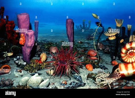 Permian Reef Vista Late Paleozoic Era Stock Photo Alamy