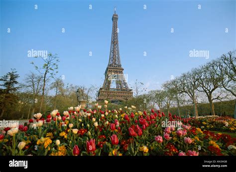 Eiffel Tower Tour Eiffel With Spring Flowers Paris France Stock