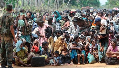 From Sandy Strip Of Sri Lanka Tales Of Suffering As War Traps