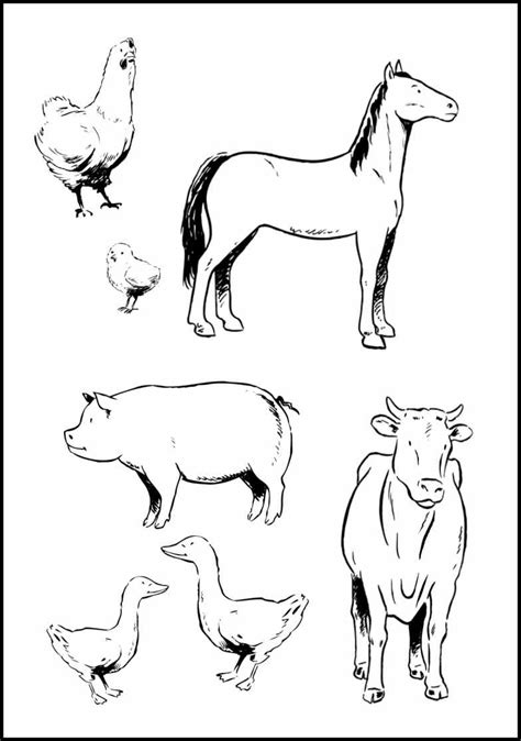 Farm animal coloring pages for kindergarten. 16 Best Images of Hidden E Worksheets - Free Printable ...