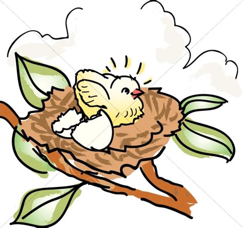 Bird Nest Cartoon Free Download On Clipartmag