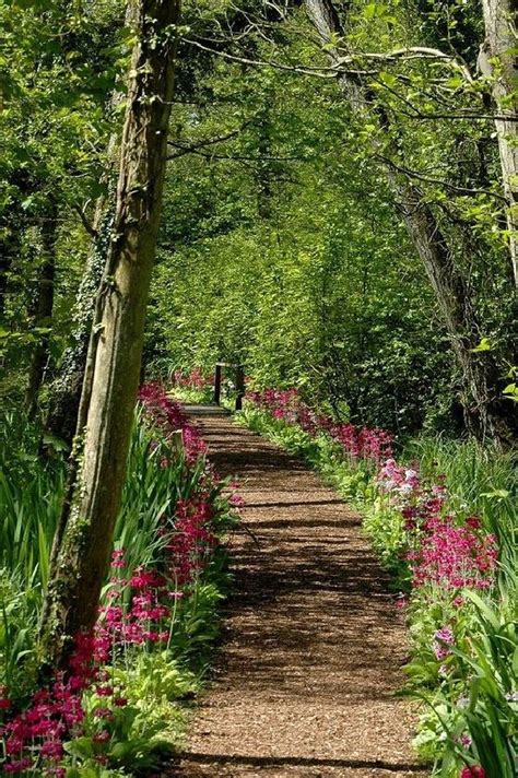 30 Outstanding Border Garden Design To Your Landscaping Edging