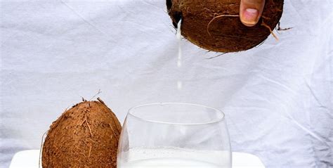 You should only give your cat water to drink. Can you have coconut milk if you follow a keto diet ...