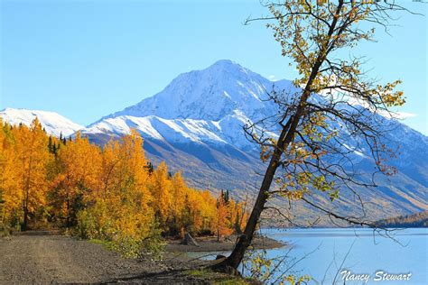 Fall Colors In Alaska Landscape Alaska Nature