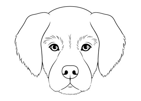 Easy Drawing Tutorials For Beginner And Intermediate Artists Dog