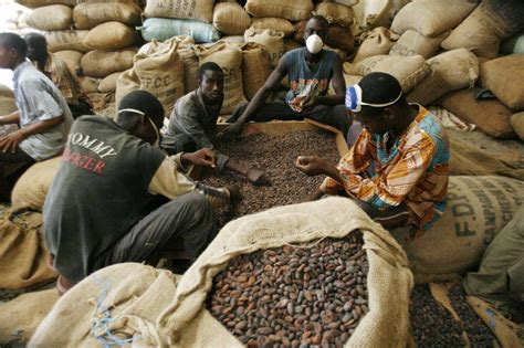 Nestlé Vows Action On Cocoa Child Labour In Ivory Coast The Globe And