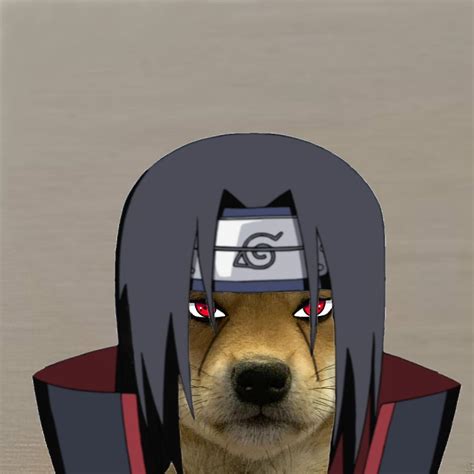 Anime Meme Pfp Shiba Dog Naruto Akatsuki