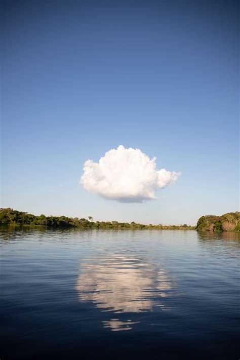 Green Trees Beside Body Of Water Under Blue Sky And White Clouds During