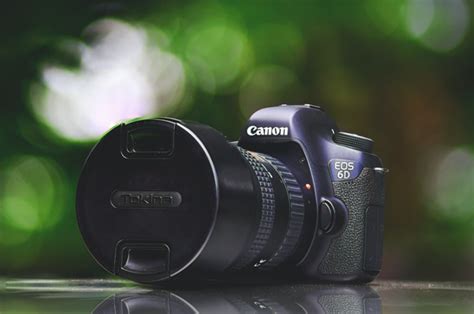 5 Best Entry Level Dslrs For Beginners Dslr Cameras And Accessories