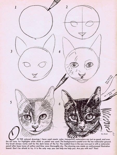 How to draw animals cats and their anatomy. Scanning Around with Gene: Add Inches to Your Manhood ...