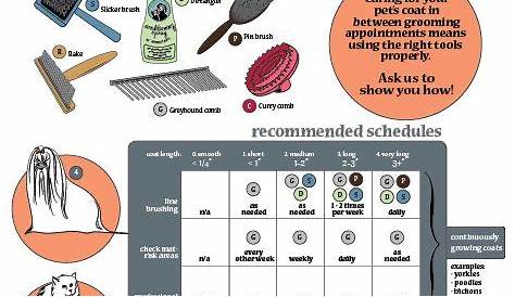 grooming charts for dogs