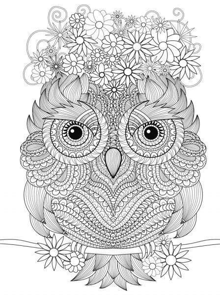 Printable Owl Coloring Pages For Adults Starfish