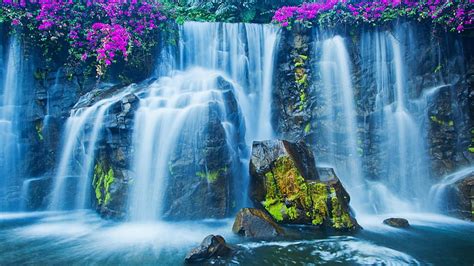 1920x1080px Free Download Hd Wallpaper Waterfalls Flower Nature