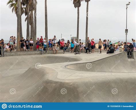 Skateboarder At Venice Beach Skate Park Pool Editorial Image Image Of