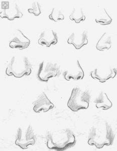 Understand the basic shapes of a nose, apply the proper shading techniques and become a pro at drawing noses. How to Draw a Nose Easy Step by Step for Beginners - Do It ...