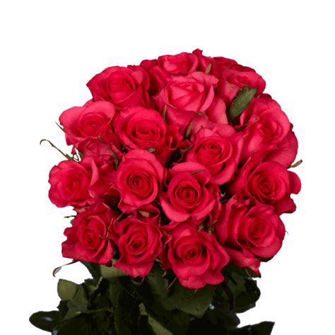 50 Stems Of Hot Paris Roses Fresh Flower Delivery