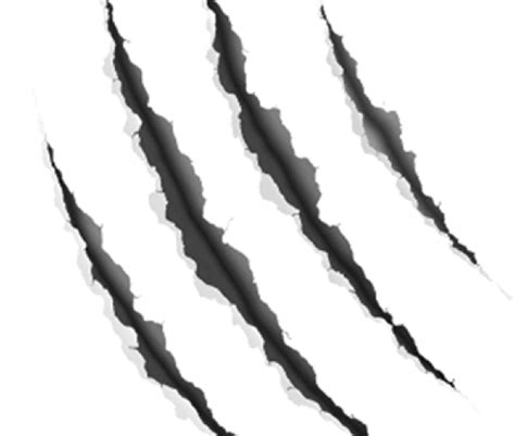 Claw Scratch Png All Png All