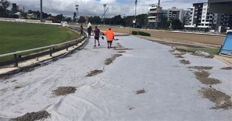 Update Albion Park Greyhound Track Renovation Racing Queensland