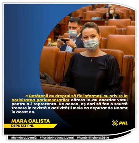 Mara Calista Deputat PNL Raport De Activitate POLITICA