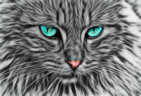 Fractale Cat Fractal Art De Chat Image Gratuite Sur Pixabay