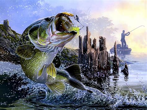 Download Bass Fishing 459539 Hd Wallpaper And Backgrounds Download