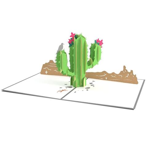 Saguaro Cactus Cactus Flowers Flower Bud Diy Flowers Cactus Plants