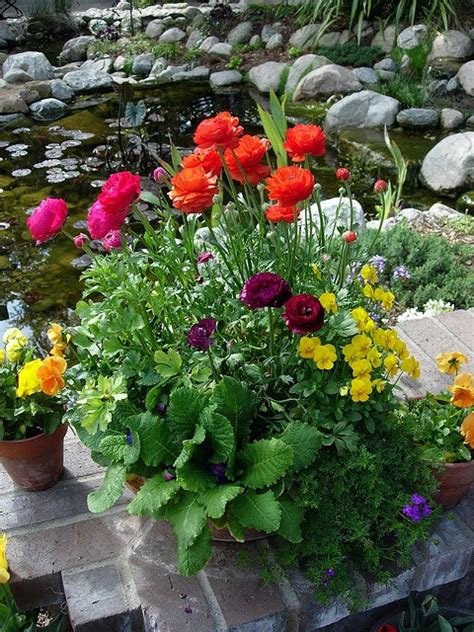 Top 14 Outdoor Spring Flower Decor Ideas Home Garden Diy