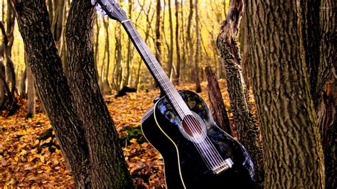 Guitar In The Forest Wallpaper Music Wallpapers 19122