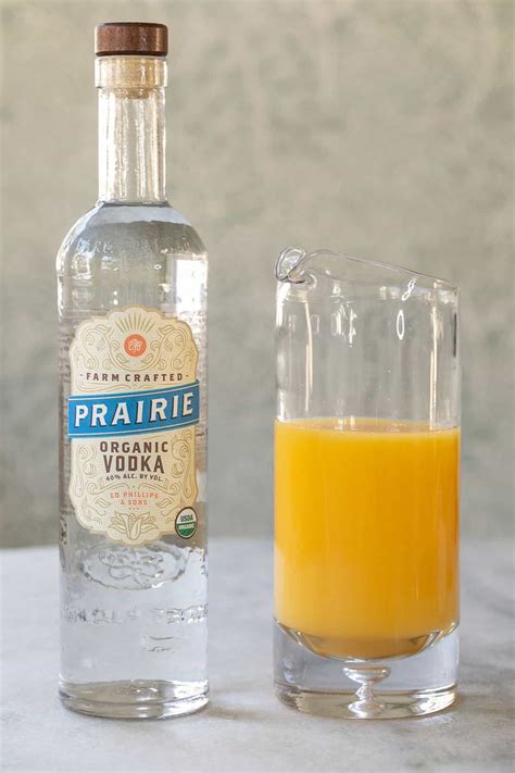 Vodka And Orange Juice Cocktail Sugar And Charm